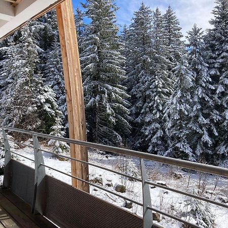 Studio Chamrousse 1700 Pour 4 Personnes - Au Calme - Avec Wifi Dış mekan fotoğraf
